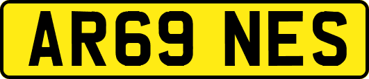 AR69NES