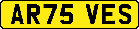 AR75VES