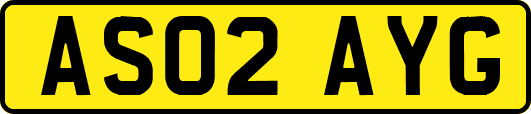 AS02AYG