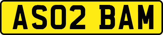 AS02BAM