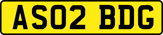 AS02BDG