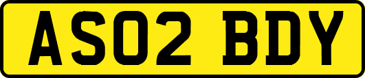 AS02BDY