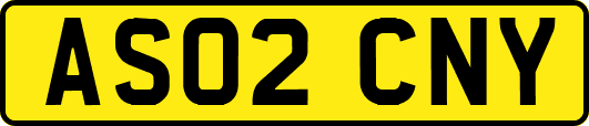 AS02CNY