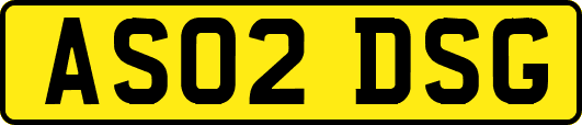 AS02DSG