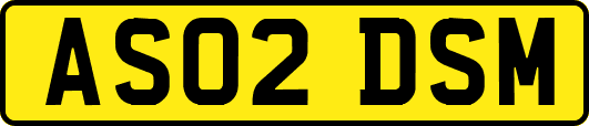 AS02DSM