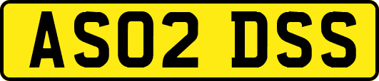 AS02DSS
