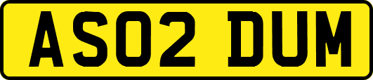 AS02DUM