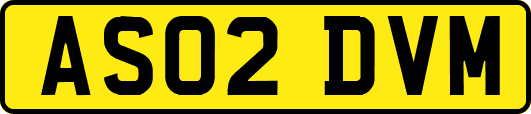 AS02DVM