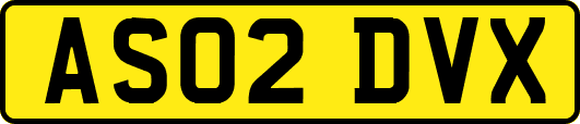 AS02DVX