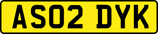 AS02DYK