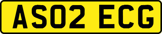 AS02ECG