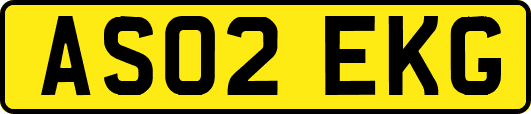 AS02EKG