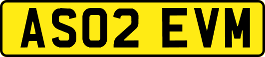 AS02EVM