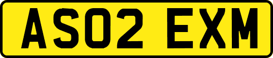 AS02EXM