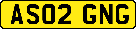 AS02GNG