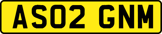 AS02GNM