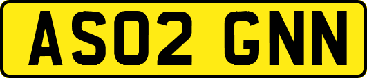 AS02GNN