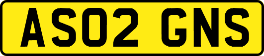 AS02GNS