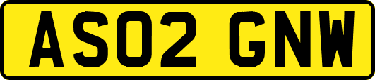 AS02GNW