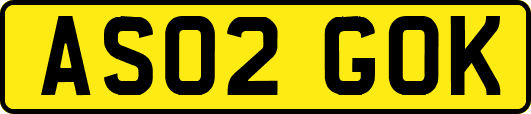 AS02GOK