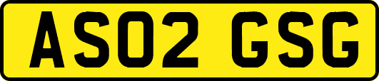 AS02GSG