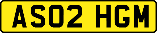AS02HGM