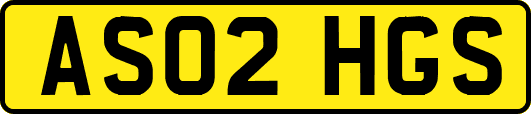 AS02HGS