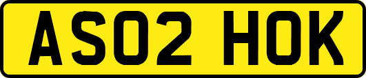 AS02HOK