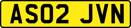 AS02JVN
