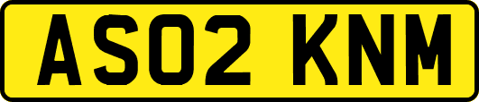 AS02KNM