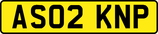 AS02KNP