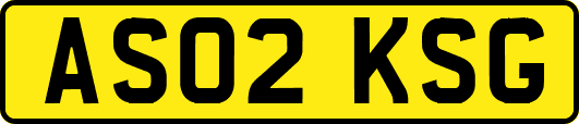 AS02KSG
