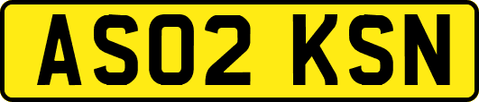 AS02KSN