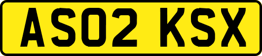 AS02KSX