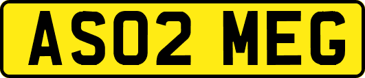 AS02MEG