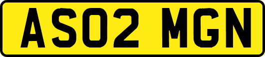 AS02MGN