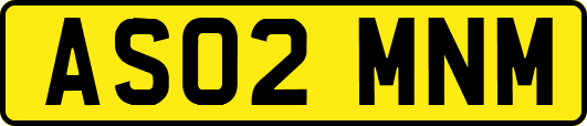 AS02MNM