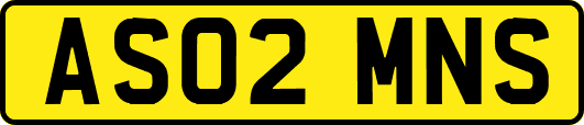 AS02MNS