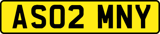 AS02MNY