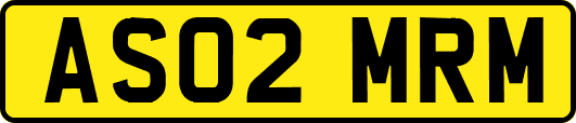 AS02MRM