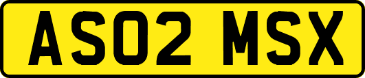 AS02MSX