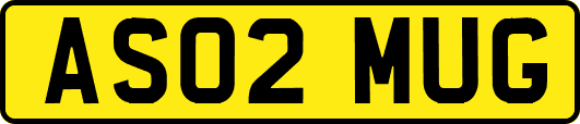AS02MUG
