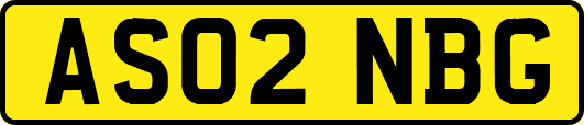 AS02NBG