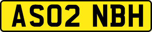 AS02NBH