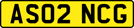 AS02NCG
