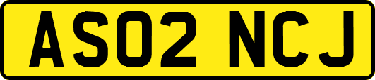 AS02NCJ
