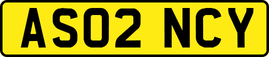 AS02NCY