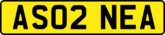 AS02NEA