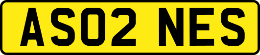 AS02NES