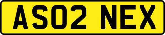 AS02NEX